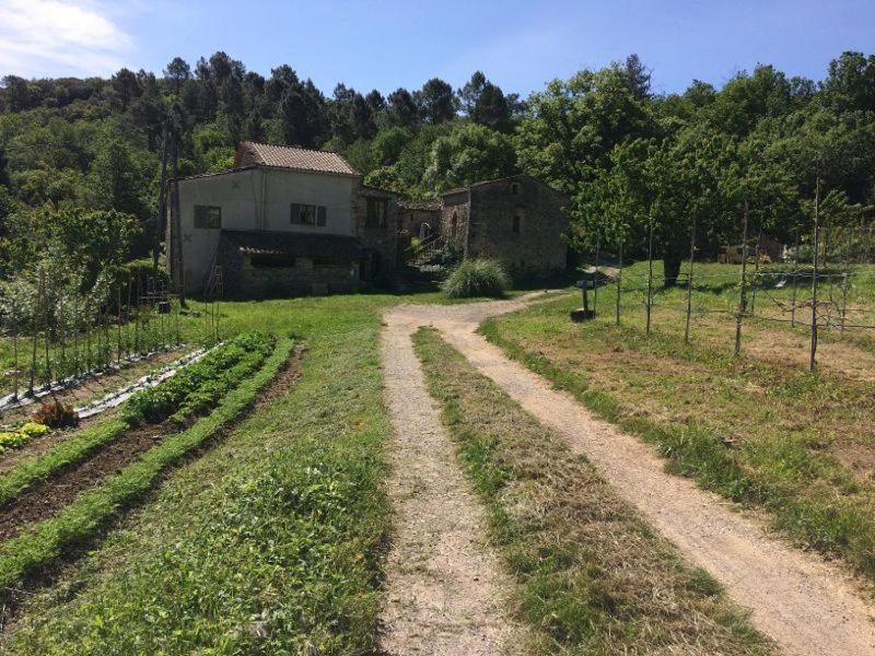 Deux Chambres D Hotes Attenantes Avec Salon Salle A Manger Privatif En Cevennes Gardoises サン・ジャン・デュ・ガル エクステリア 写真